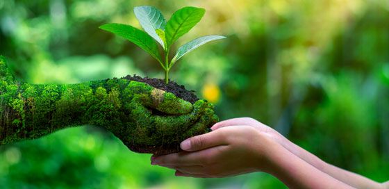 BIODEGRADABLE PRODUCTS